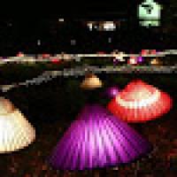 12位のイメージ