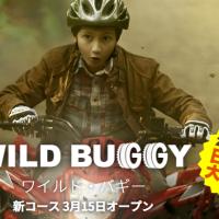 13位のイメージ