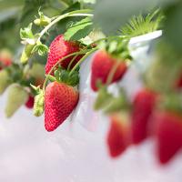 16位のイメージ