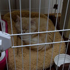 41位のイメージ