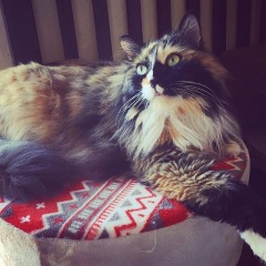 30位のイメージ