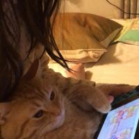 15位のイメージ