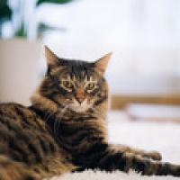 16位のイメージ