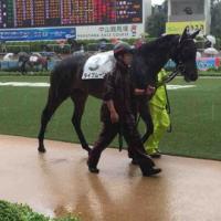 54位のイメージ