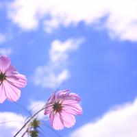 27位のイメージ