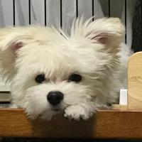 134位のイメージ