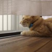 76位のイメージ