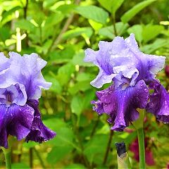 10位のイメージ