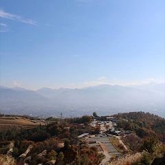 29位のイメージ