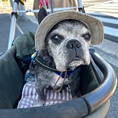 17位のイメージ