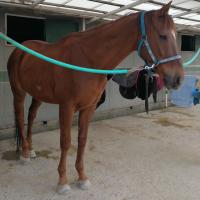 12位のイメージ