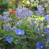 156位のイメージ