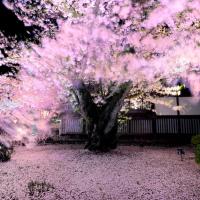 24位のイメージ