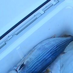 22位のイメージ