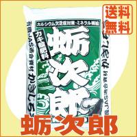 577位のイメージ