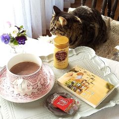 24位のイメージ