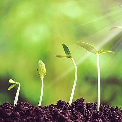 51位のイメージ