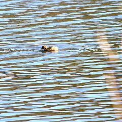 19位のイメージ