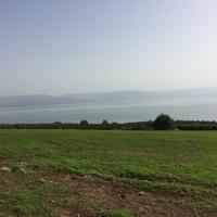 11位のイメージ