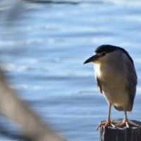 22位のイメージ