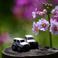 170位のイメージ