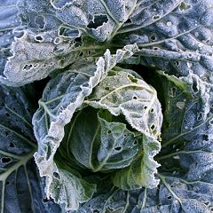 80位のイメージ