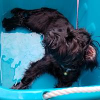 18位のイメージ