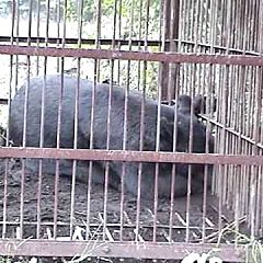 30位のイメージ