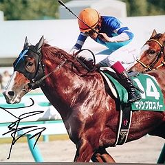 1285位のイメージ