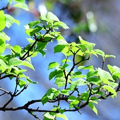 1014位のイメージ