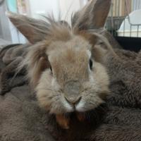 25位のイメージ