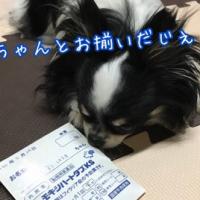 82位のイメージ