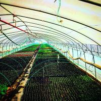 69位のイメージ