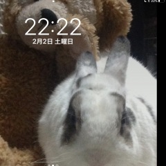 79位のイメージ