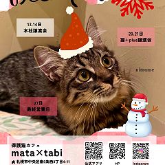 238位のイメージ