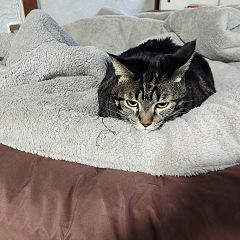 133位のイメージ