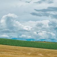 23位のイメージ