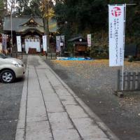 11位のイメージ