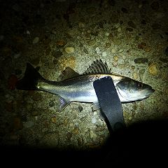 122位のイメージ