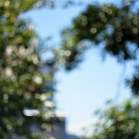 83位のイメージ