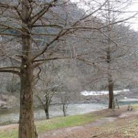 31位のイメージ