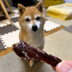 58位のイメージ