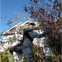 25位のイメージ