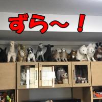 49位のイメージ