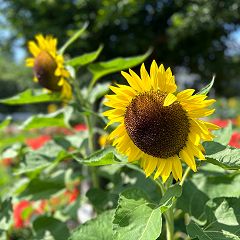 81位のイメージ