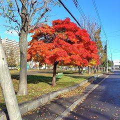 95位のイメージ