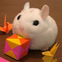 26位のイメージ