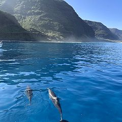 28位のイメージ