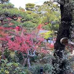 29位のイメージ