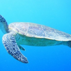 82位のイメージ